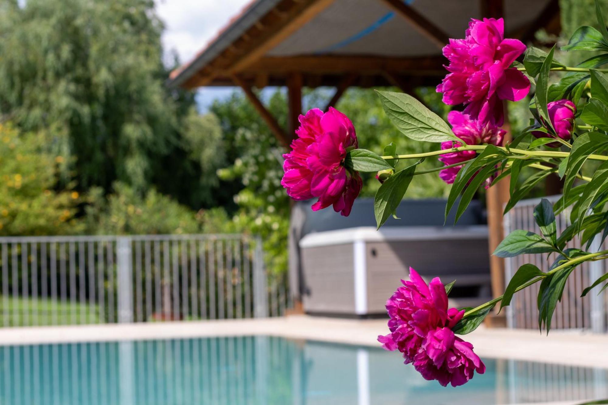 Hotel Fleuralp Cermes Εξωτερικό φωτογραφία